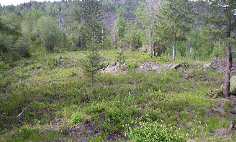 20 Acres Bc Between ...