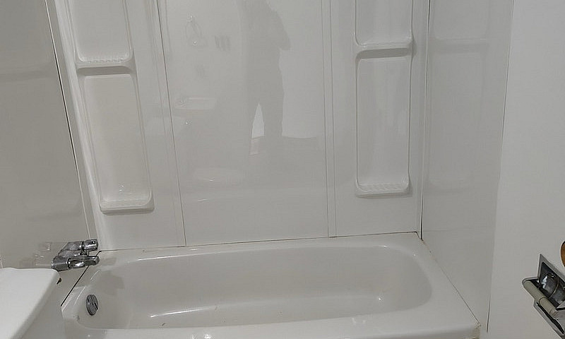 1Br 1Ba In Rosemont ...