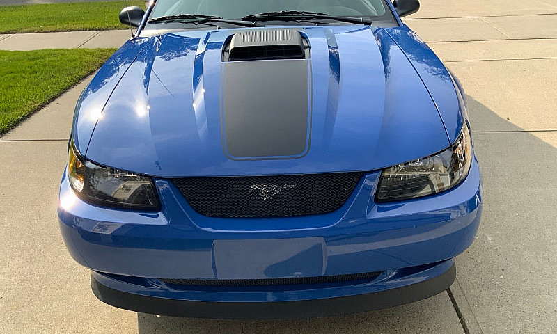Mustang Mach 1...