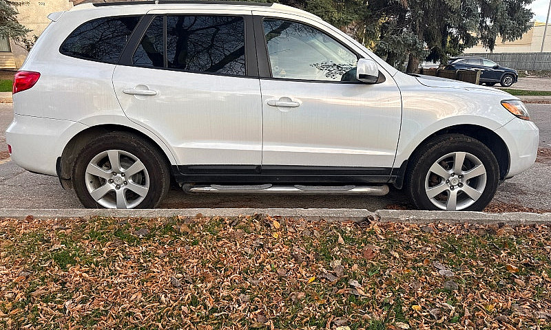 2009 Hyundai Santa F...