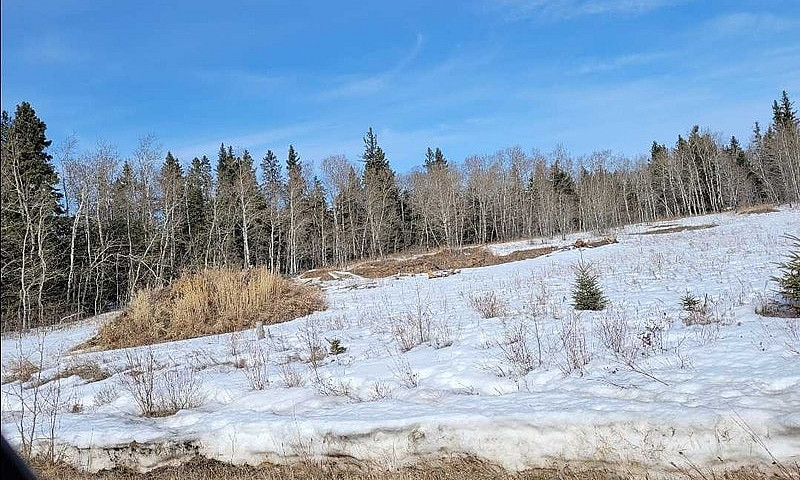 10 Acres Of Undevelo...