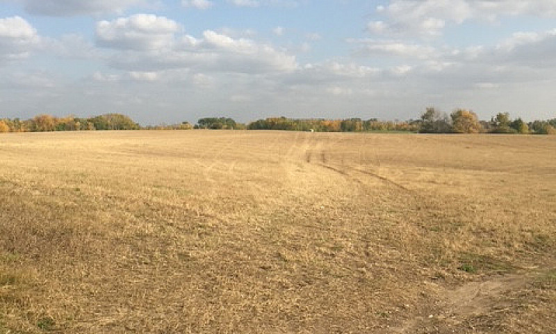 160-Acre Heritage Fa...