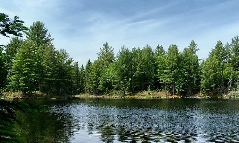 100 Acres In Magneta...
