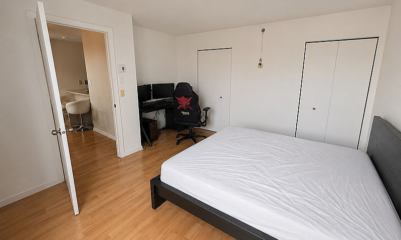 Fully Furnished Apar...