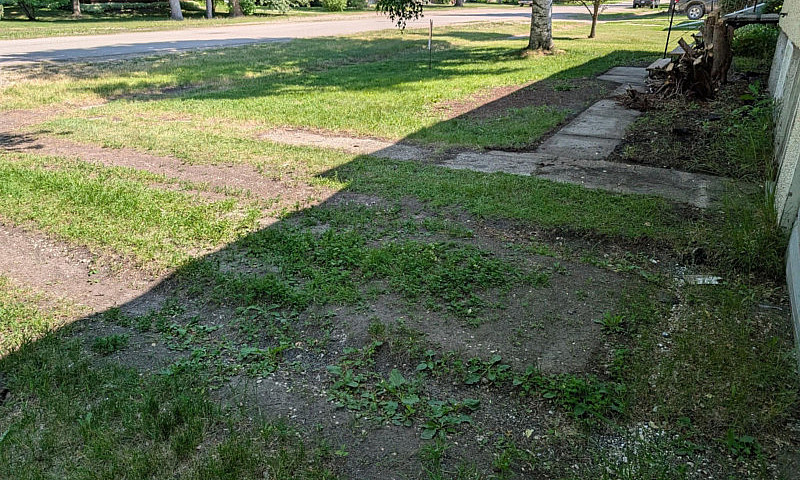 3+ Bedroom, 1 Bath H...