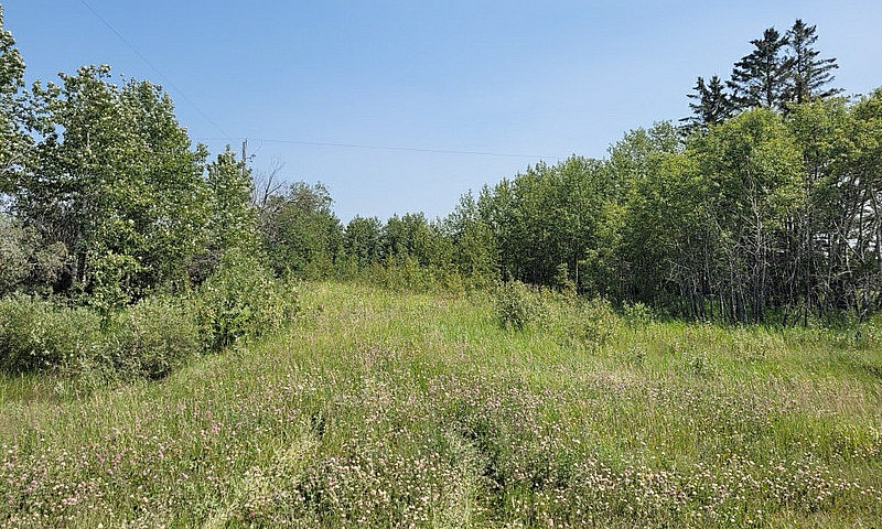 2 Acre Yard Site For...