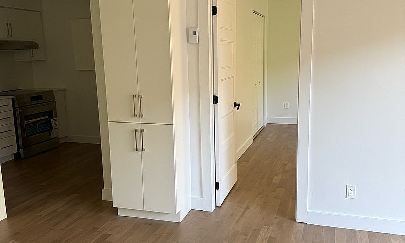 3 1/2 Newly Renovate...
