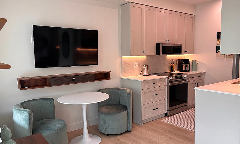 Furnished Studio Apa...