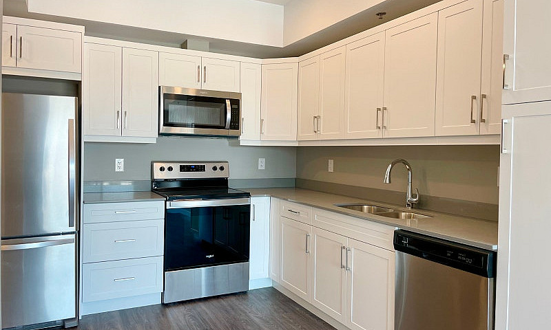 Modern 1-Br Apartmen...