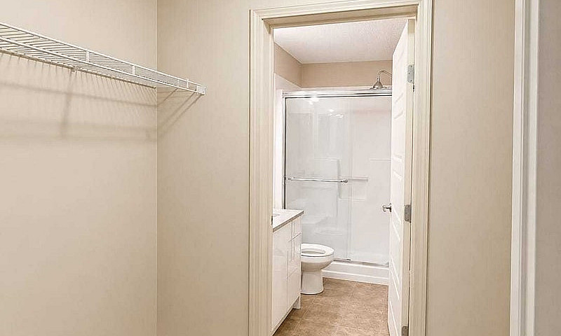 Renting My Beautiful...