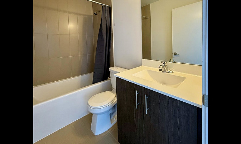 Luxury 1 Bedroom Tor...