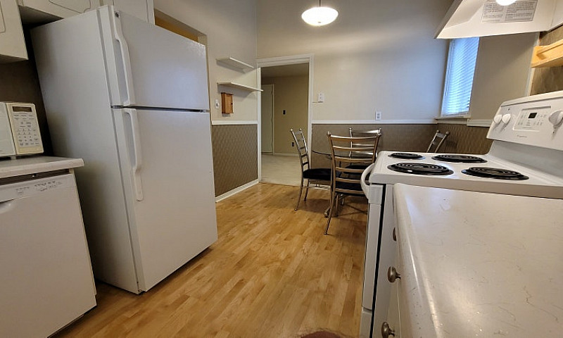Premium 1,200 Sq Ft ...