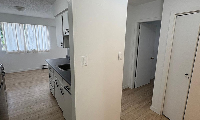Bright 1-Bedroom Sui...