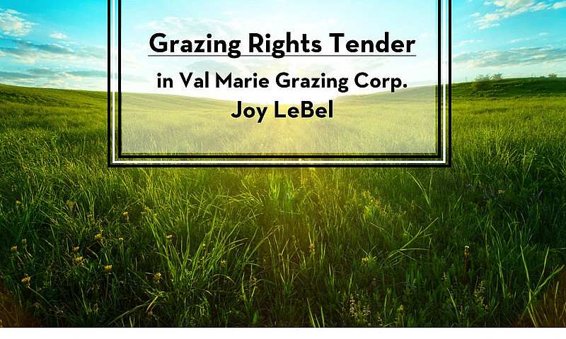 Grazing Rights Tende...