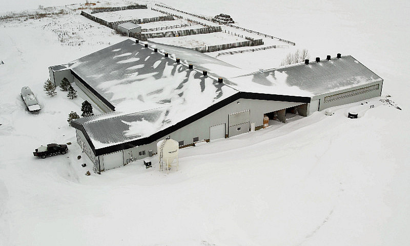 Dairy Farm In The Rm...