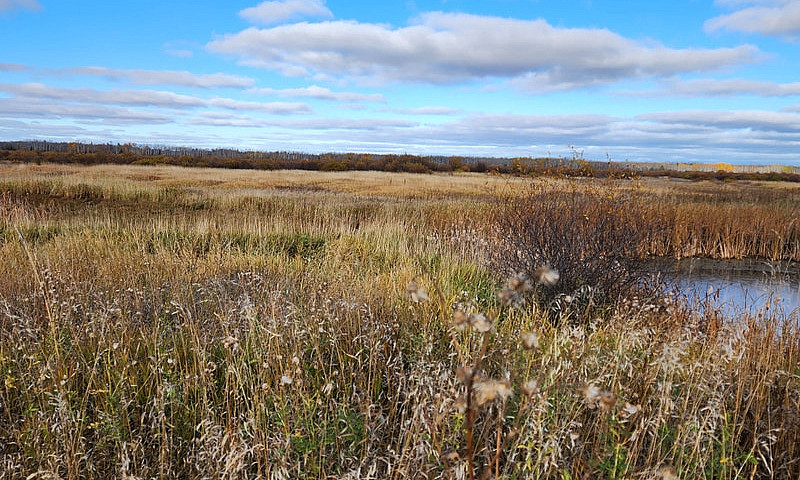 156 Acres For Sale...