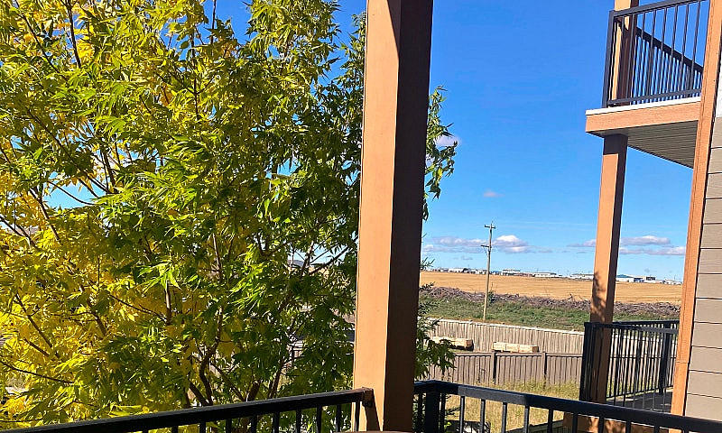 Condo Living With 2 ...