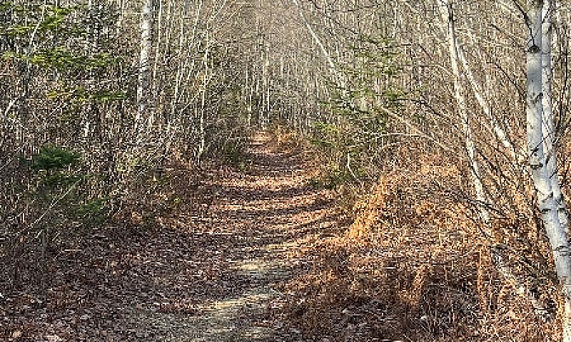Terrains À Vendre...