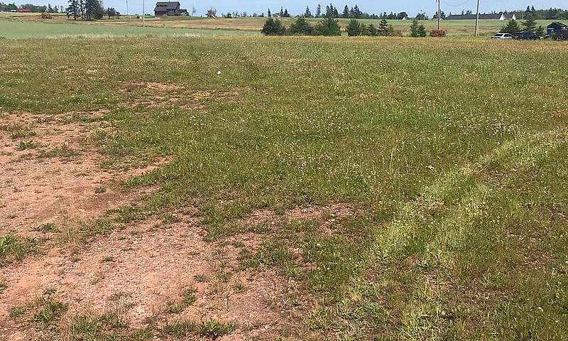 Land For Sale ...