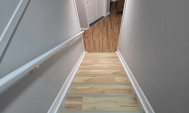 Basement For Rent Av...