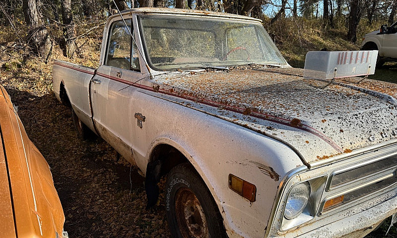 1968 C10...
