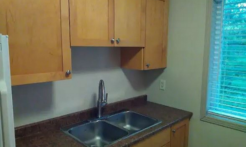 1 Bedroom Plus Offic...