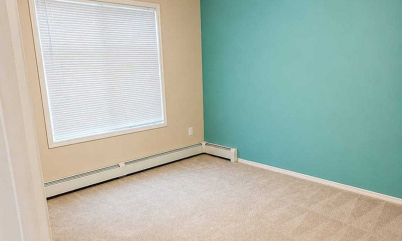Renting My Beautiful...