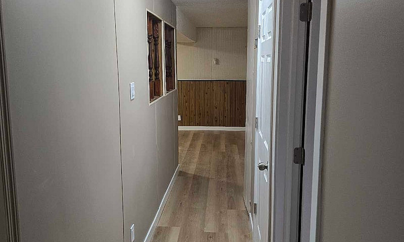 Basement For Rent...