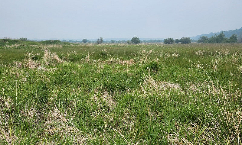 156 Acres For Sale...