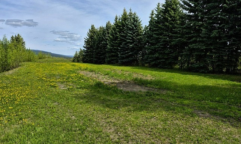 0.73-Acre Property O...