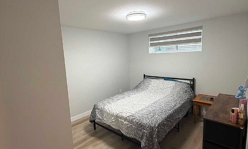 2 Bedroom Basement F...