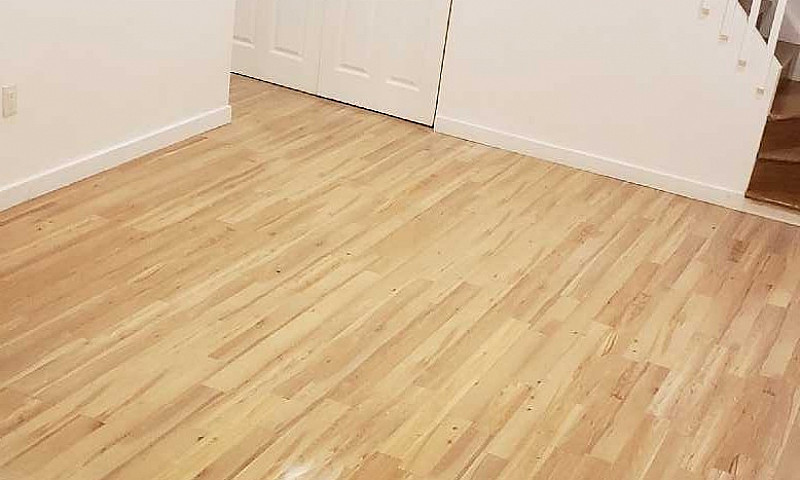 Large 2 Bed 1 Bath H...