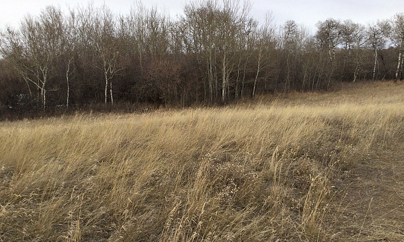 Acreage Land For Sal...