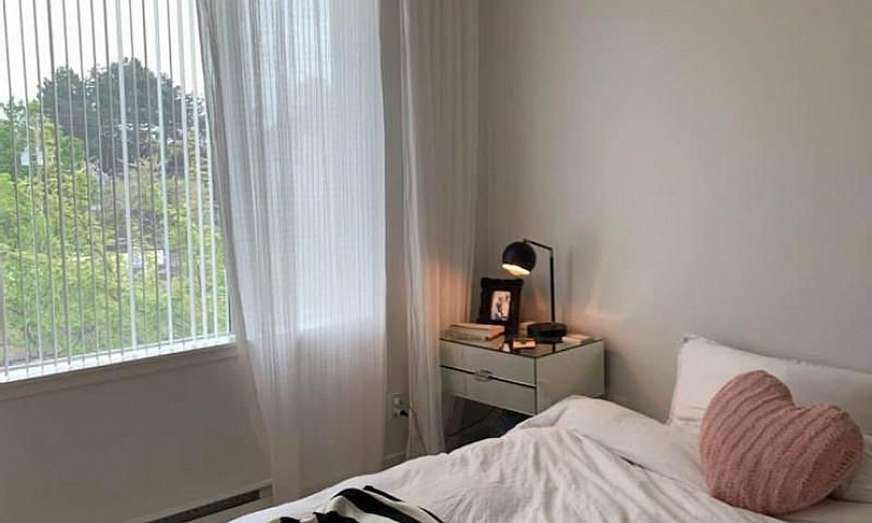 One Bedroom Condo - ...