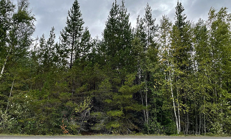 Land For Sale Minute...