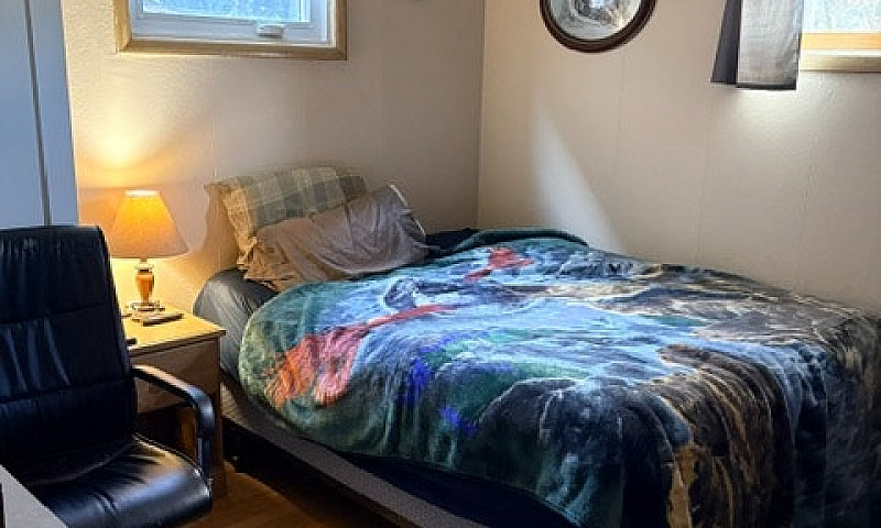 Bachelor Basement Su...