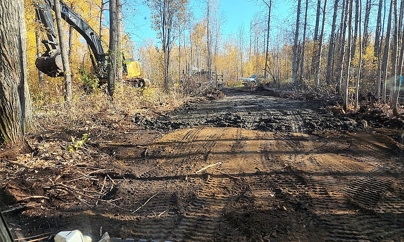 Slave Lake Spruce Po...