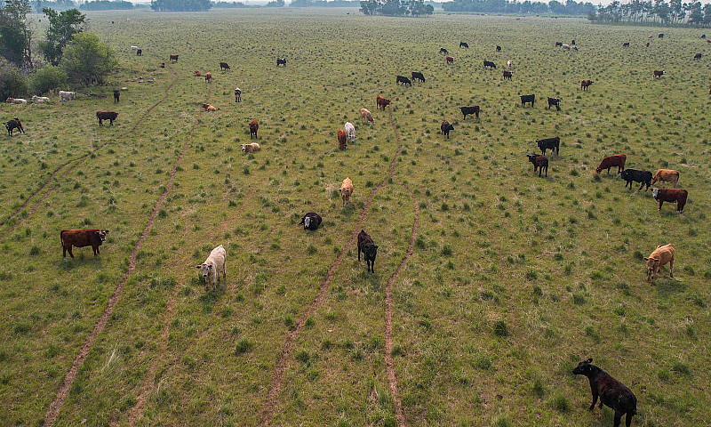 62Q Ranch In The Rm ...