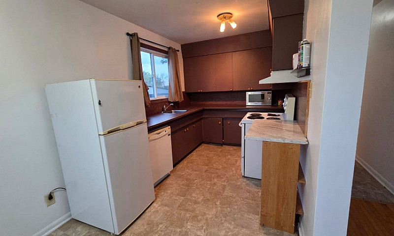 1Br Apartment For Re...