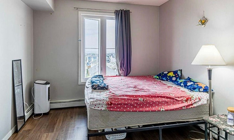 Rent Apartment...