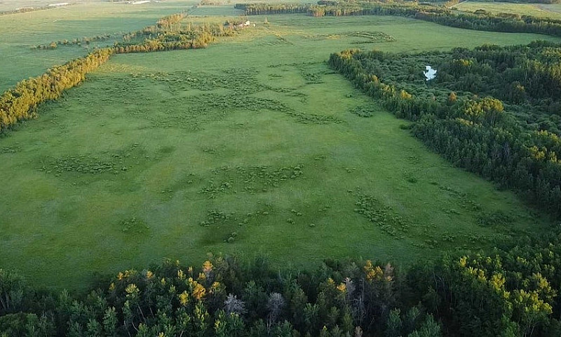 Hobby Farm 80 Acres ...