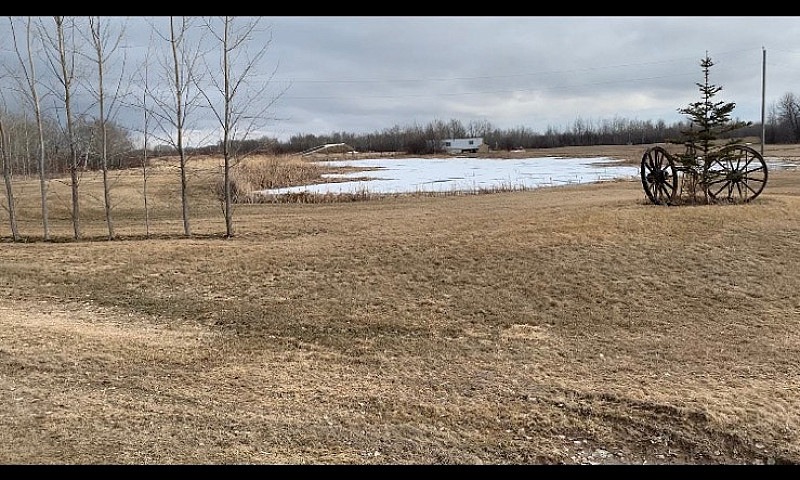 Vacant Lot/ Lot For ...