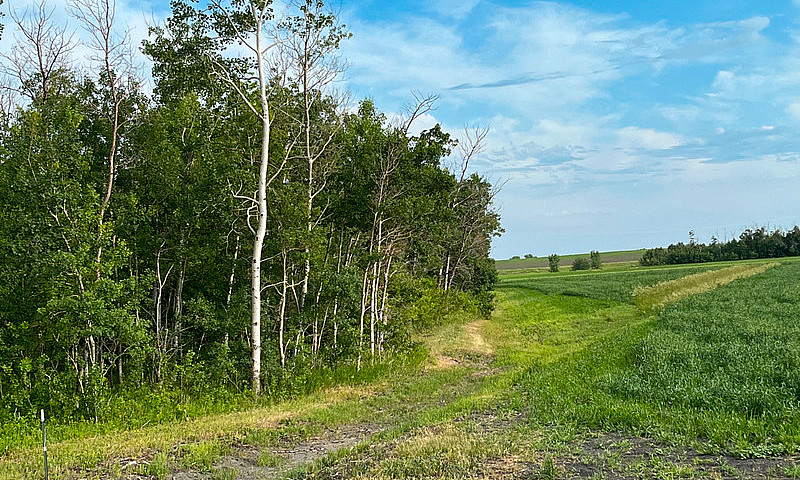 Residential Lot For ...