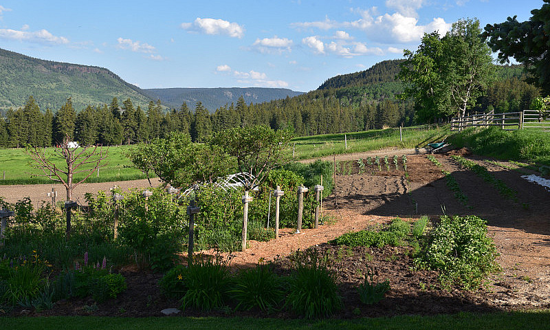 160 Acre Farm For Sa...