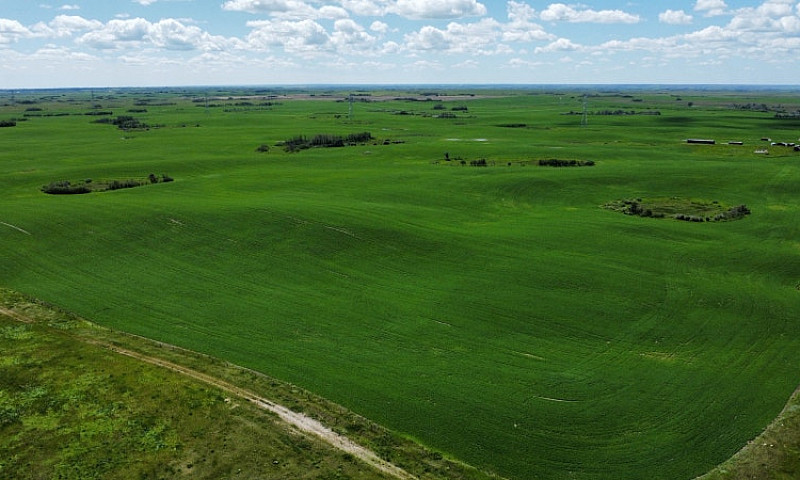 6,133 Acres For Sale...