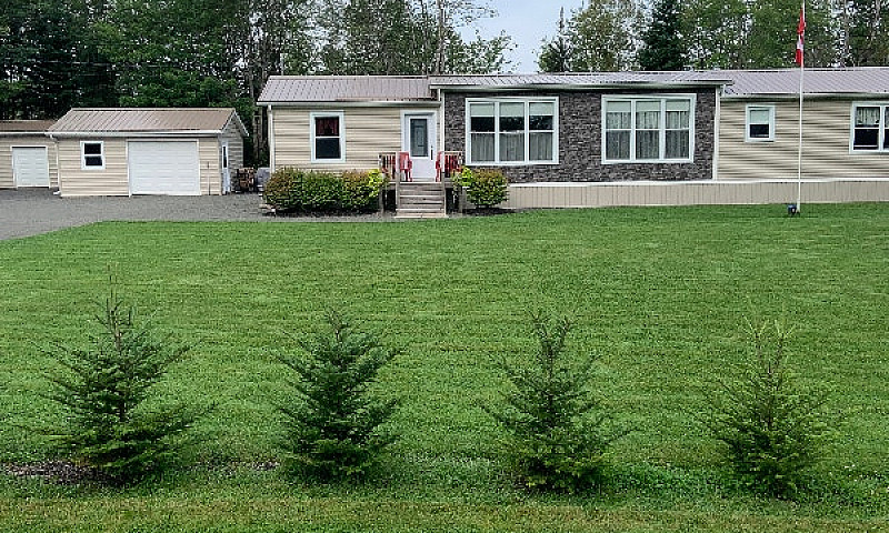 Mini Home (4 Years O...