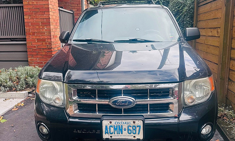2010 Ford Escape Nee...