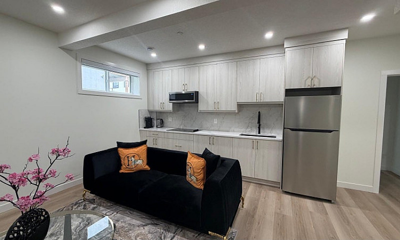 Modern Basement Apar...