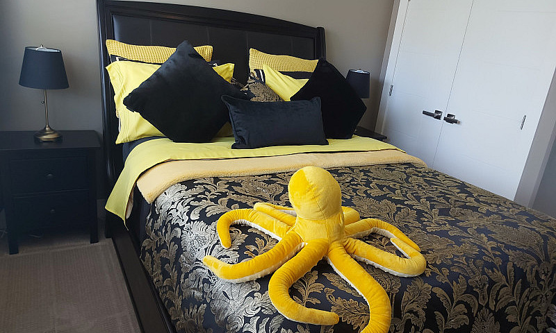 1 Bedroom Above Grou...