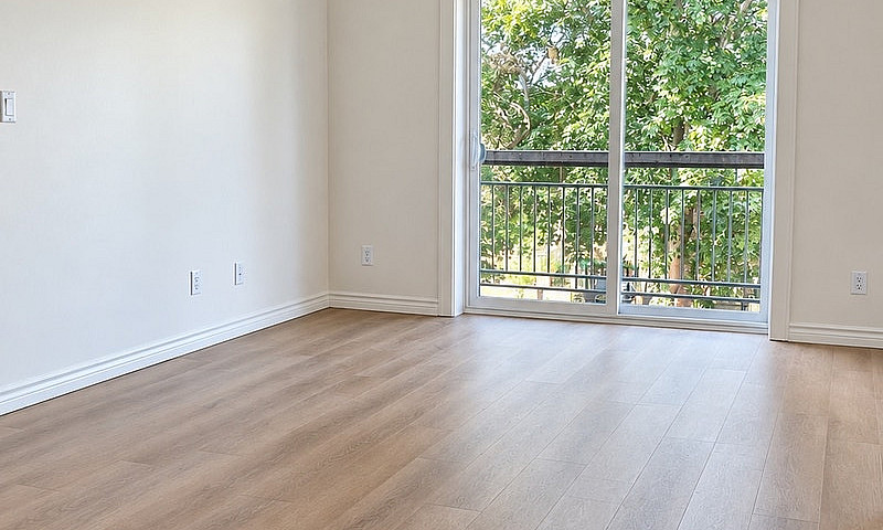 Beautiful 1 Bedroom ...